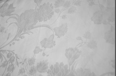 滌棉大提花